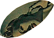 Si