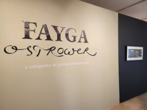 Fayga Ostrower a conquista da pureza fundamental (Foto - Divulgação MAMM)